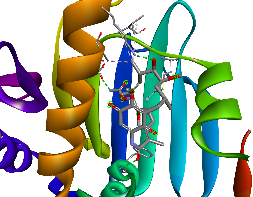 Molecular Docking