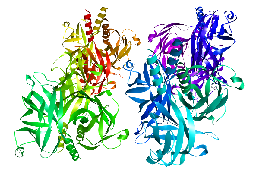 A predicted 3D structure of a protein