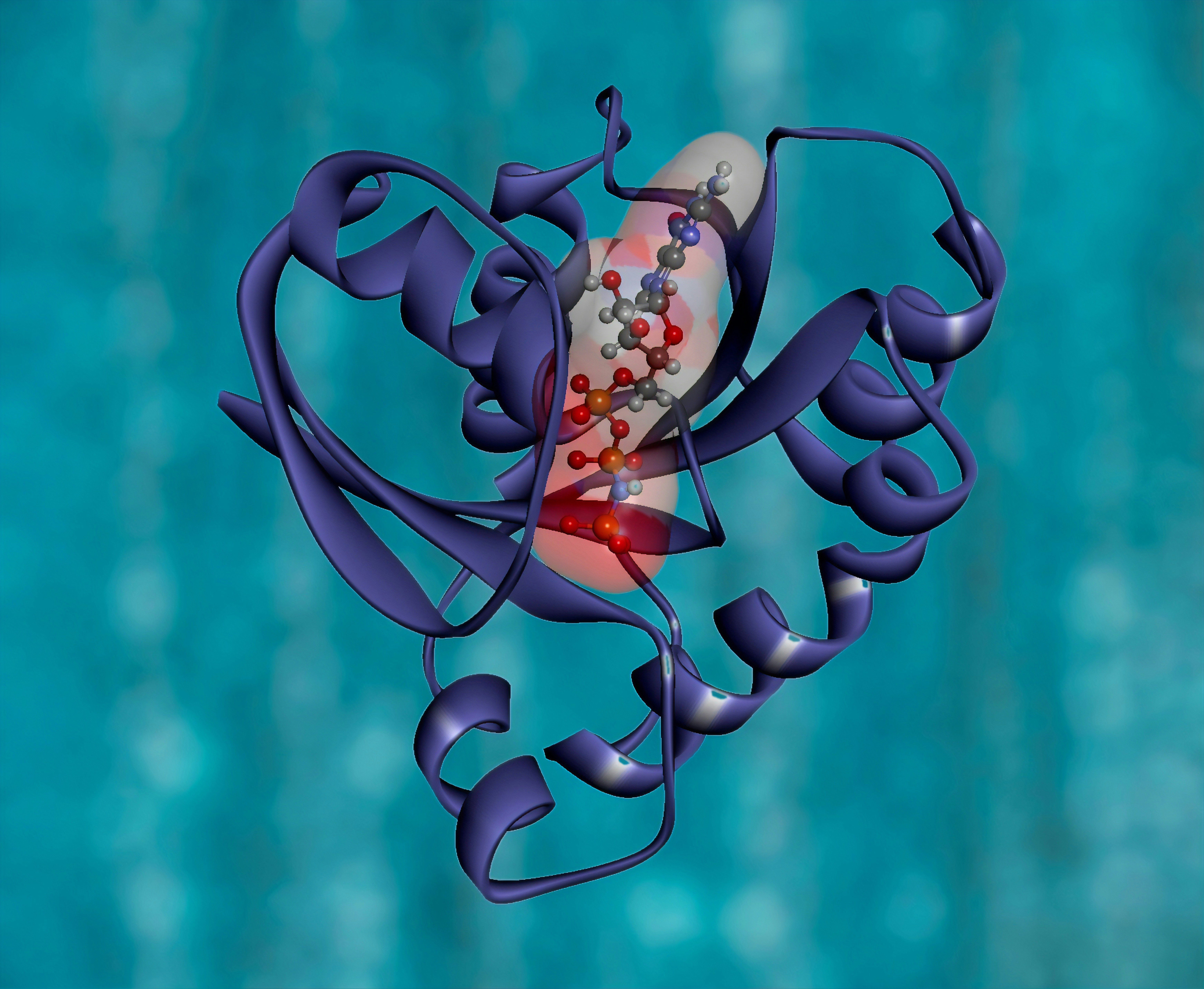 Protein Modelling